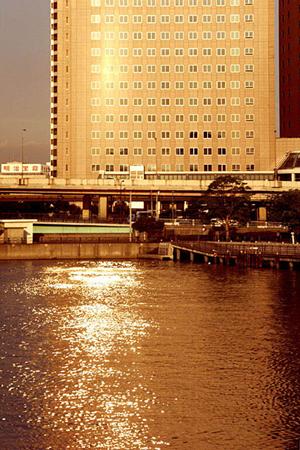 相模原での自己破産手続き完全ガイド！専門家に相談する前に知っておくべき全情報