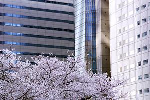 風呂リフォームをおこなっている会社