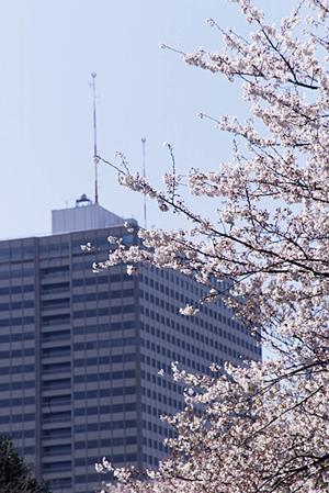 不動産売却の相談なら八千代緑が丘が良い